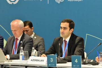Nazir müavini: Təhsil iqlim dəyişikliyinə qarşı mübarizənin ən güclü yollarından biridir