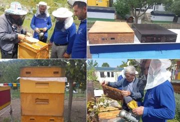 Lənkəranda Peşə Təhsil Mərkəzi arıçılıqla bağlı innovativ layihəyə dəstək oldu